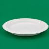 9″ Bagasse Round Plates (2)