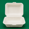 Bagasse Burger Meal Boxes 9×6 (2)