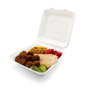 Bagasse Meal Box 9 x 9 inch with food 985x657 1