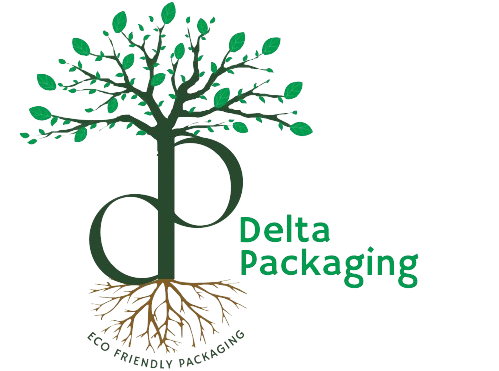 d  6  removebg preview 1